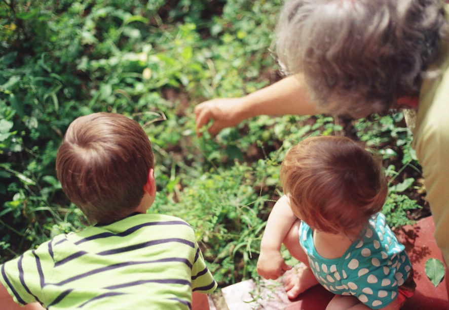 Eye Health and Genetics